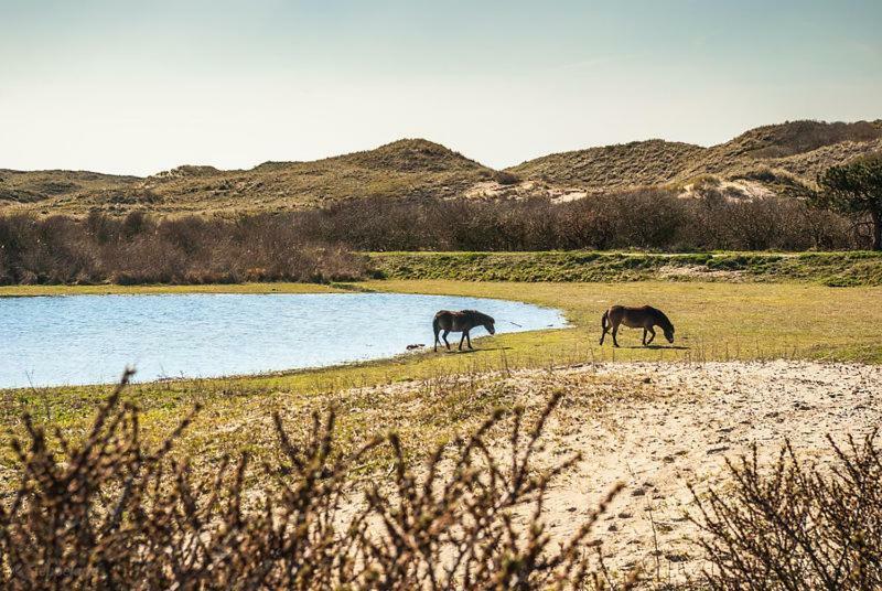 Het Hoekhuisje Egmond aan Zee Exterior photo